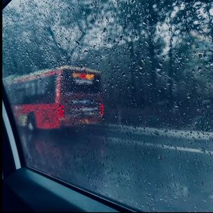 另类小说综合网
