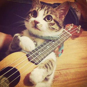 另类小说综合网
