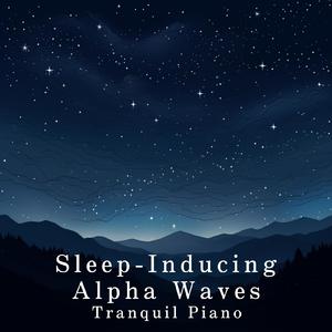 另类小说综合网
